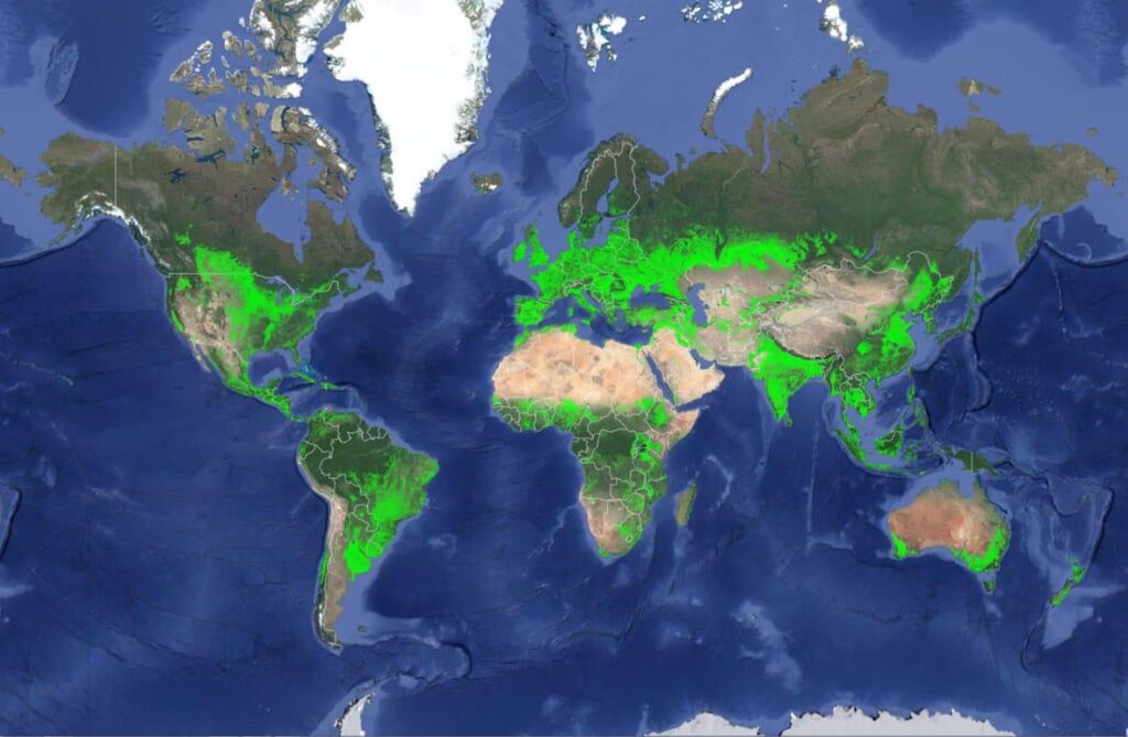 All the agricultural land in the world.