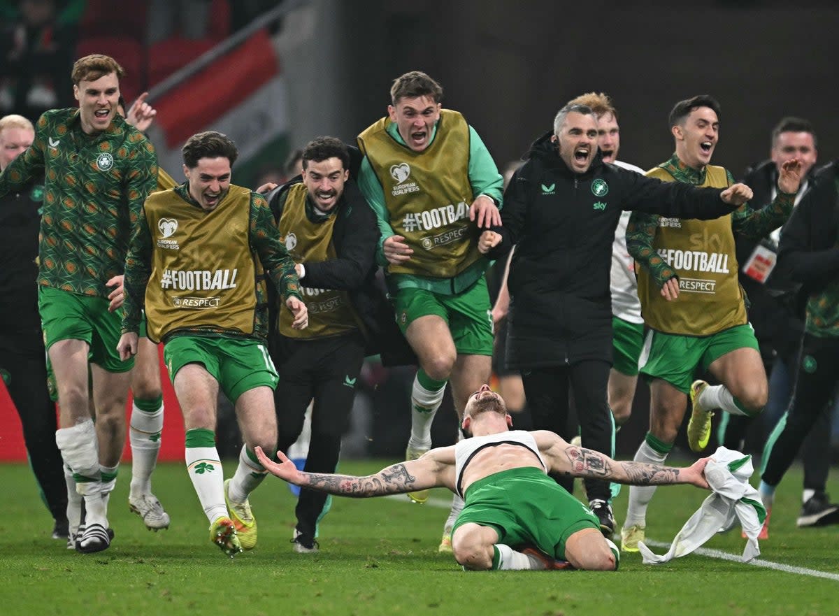A celebratory slide as the Irish bench take to the field in delight (AFP/Getty)