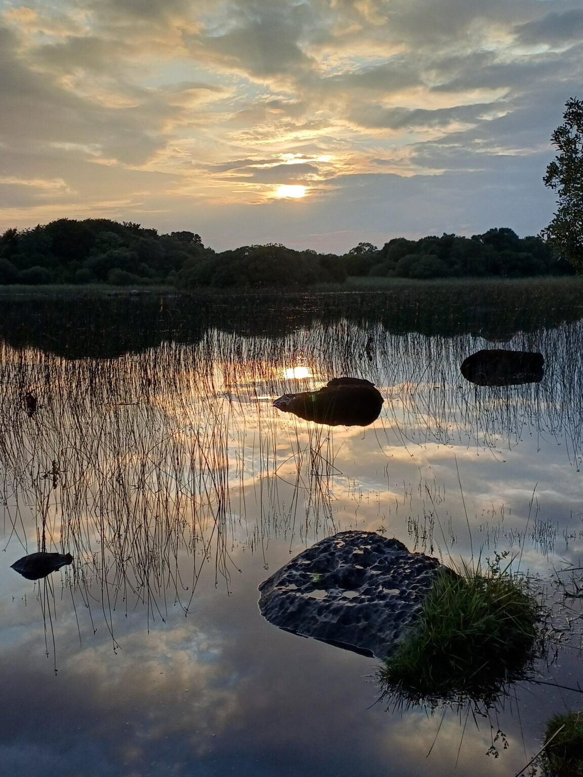 The beauty of the reflection