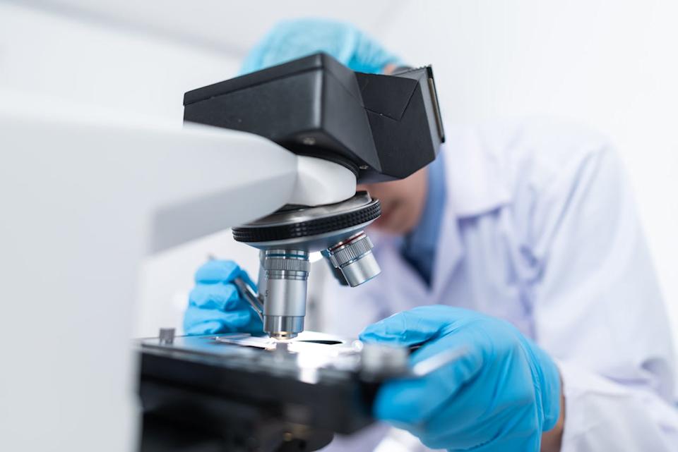 Auna SA (AUNA) Strengthens Growth Outlook Amid Healthcare Expansion in Latin America