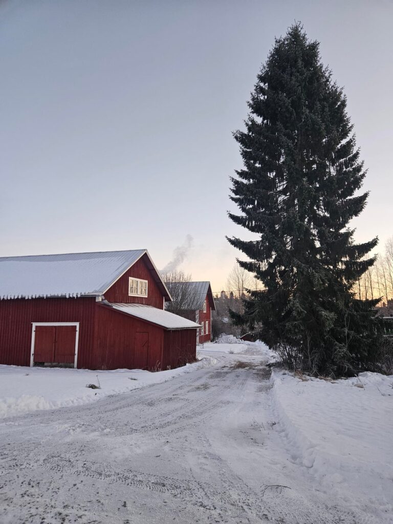 Peace, quiet, and cold. Peace, quiet, and cold.