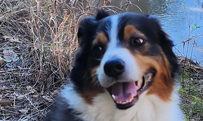 After hike with my best friend