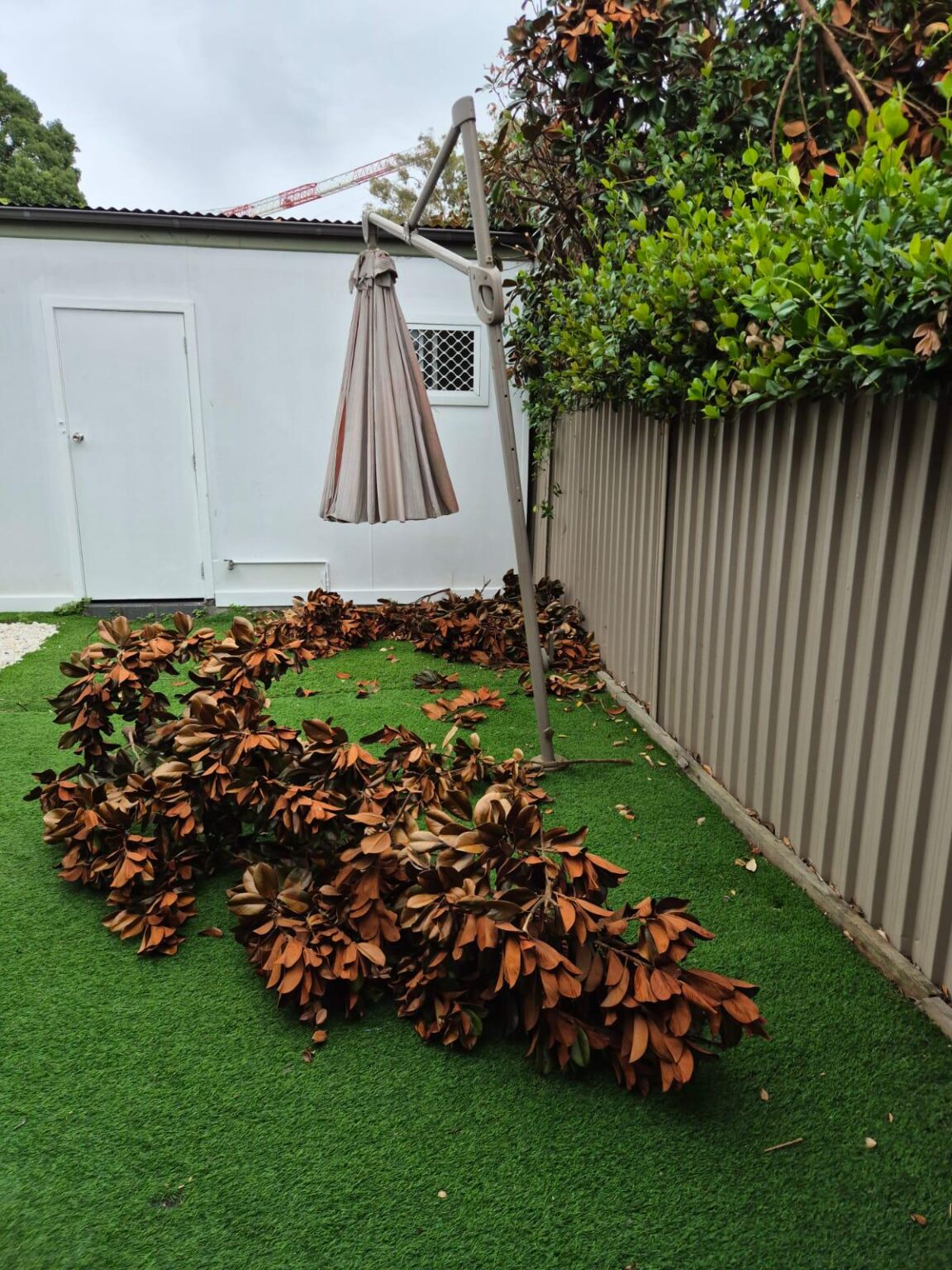 AIO if I'm pissed that the neighbour has trimmed their tree and it's fallen all into my backyard