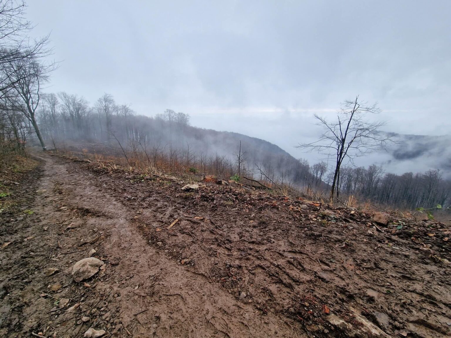 This is the way to Grafičar on Medvednica