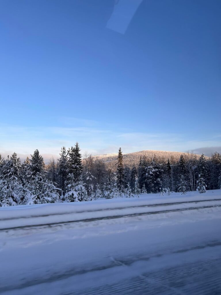 Beautiful Country Beautiful Country