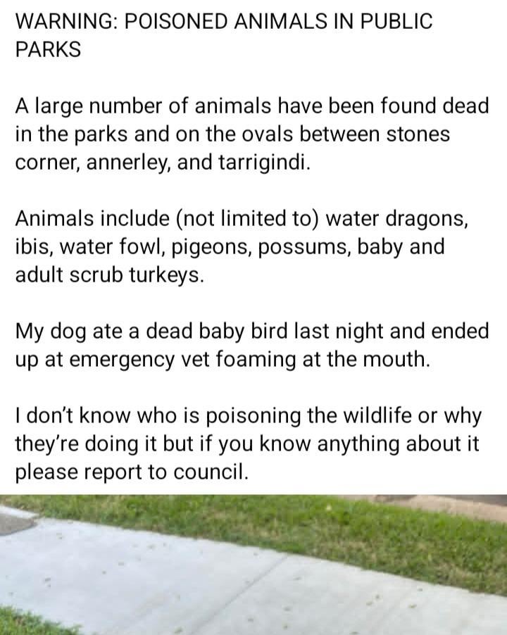 Animal poisonings in Brisbane public parks
