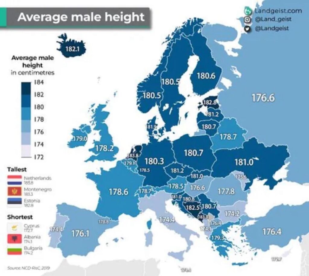 Is it true? how tall are you