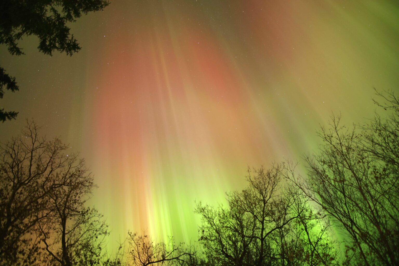 Northern Lights dancing in Trees. Time lapse in comments