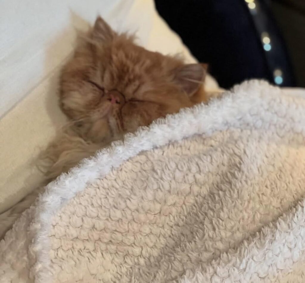 Garfield felt dizzy