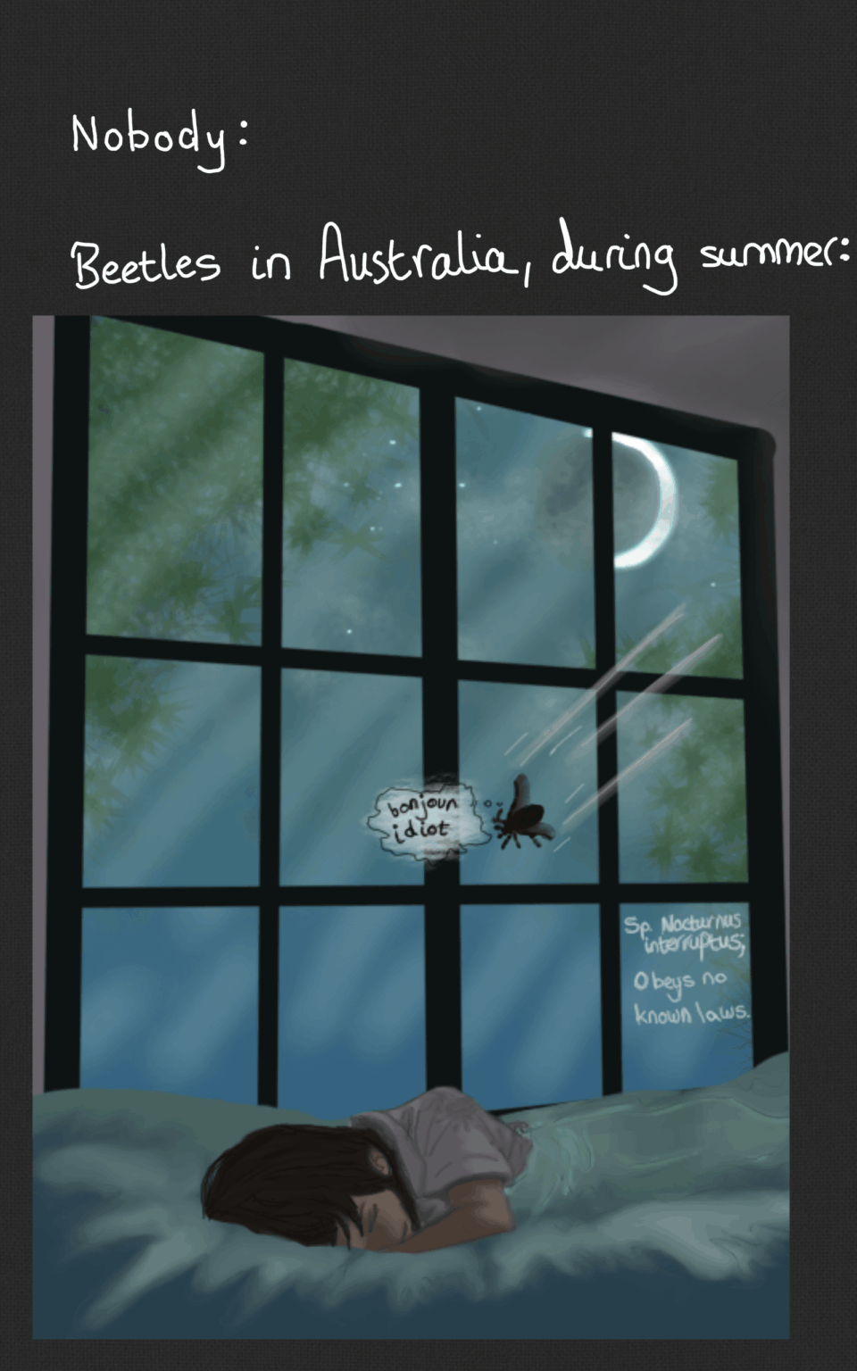 Last night I was awoken by a beetle to the ear canal and it inspired this;