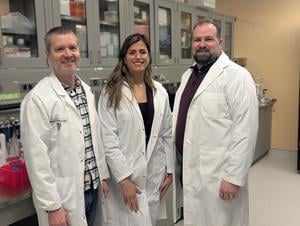 Researchers engineer bacteria capable of consuming tumours from the inside out. Bacteria spores enter the tumour, finding an environment where there are lots of nutrients and no oxygen, which this organism prefers, and so it starts eating those nutrients and growing in size.