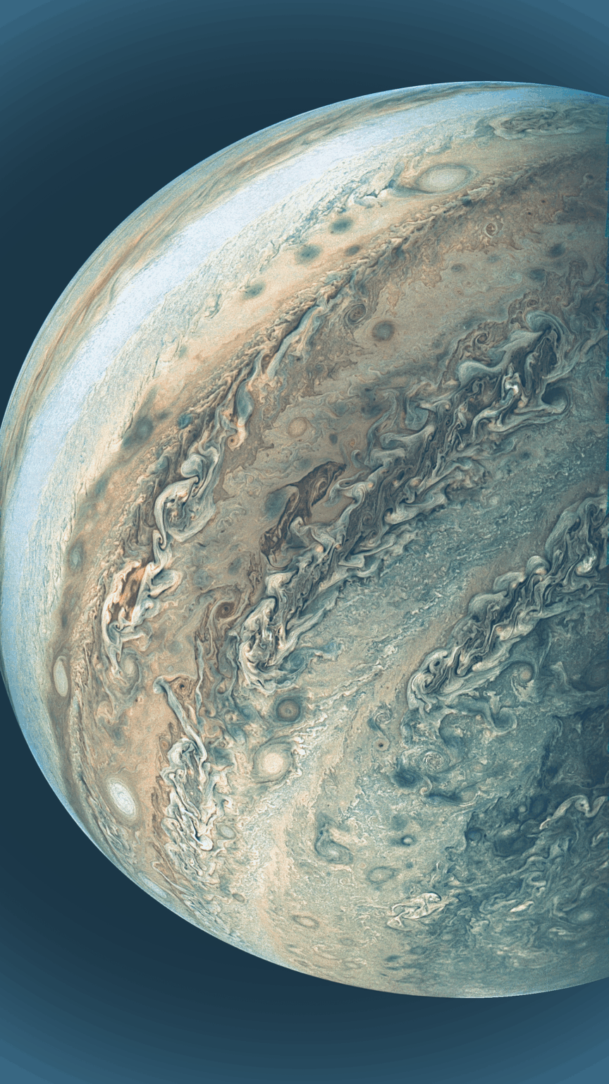 NASA's Juno probe found a Dolphin on Jupiter