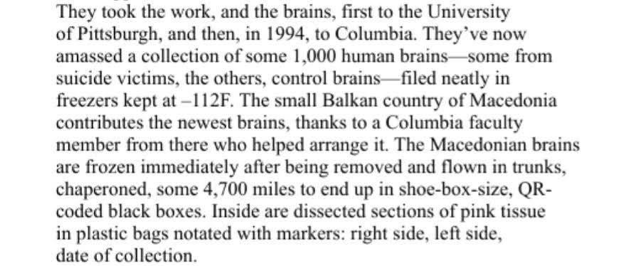 They smuggled brains from Macedonia