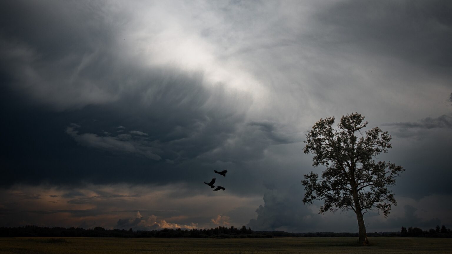 Researchers sound alarm after confirming Earth hit notable highs in 2025: ‘No longer plausible’ Last year was the third-hottest on record, according to 2025 data collected by six global organizations.