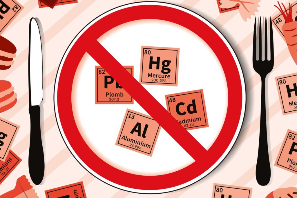 French people exposed to 'concerning' levels of cadmium, lead and aluminum through food