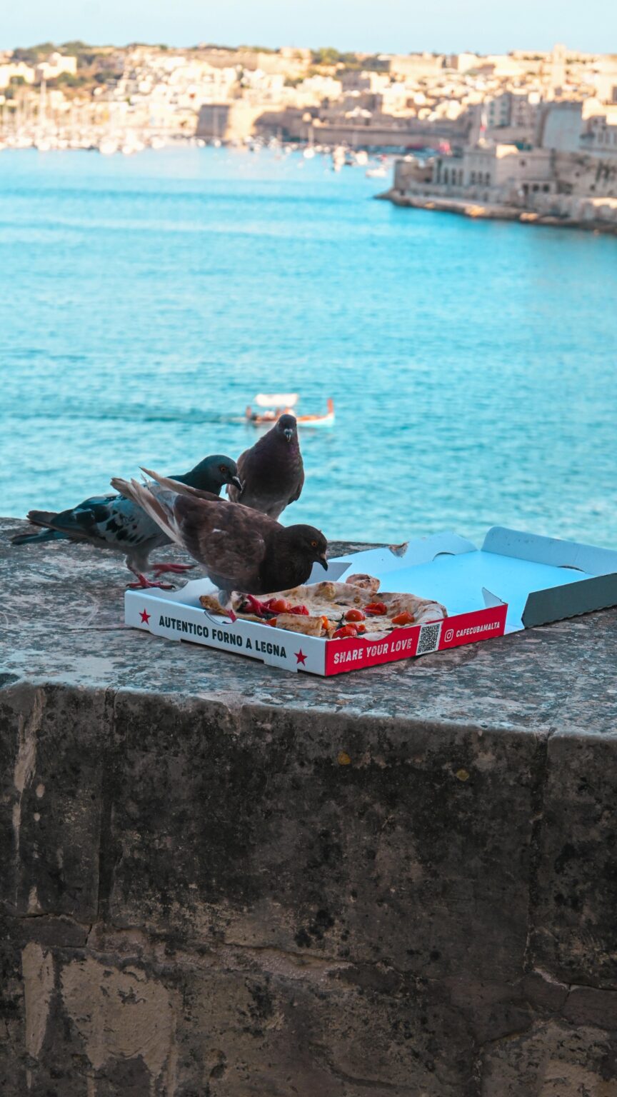 Enjoying pizza - @ Lower Barrakka