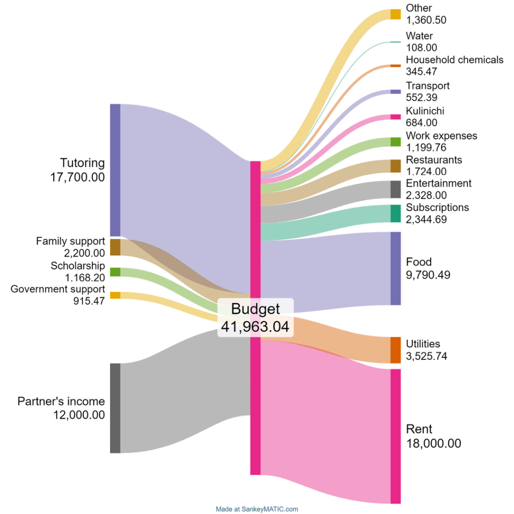 [OC] Monthly expenses, 20 year old student, combined budget with partner, Ukraine