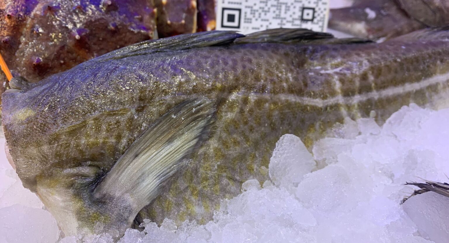 Frozen H&G Norway, Russia cod prices remain at record level with supply, China demand low