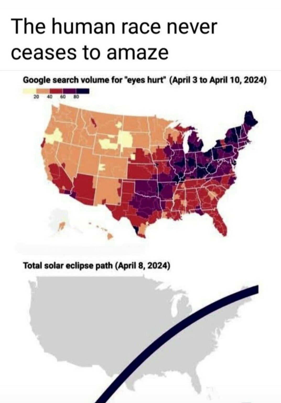 The homosapin species