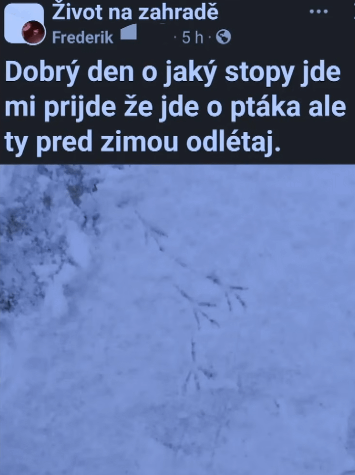 Akta X music starts playing.