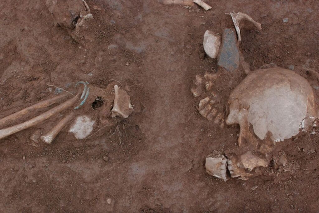 Discover Magazine Logo