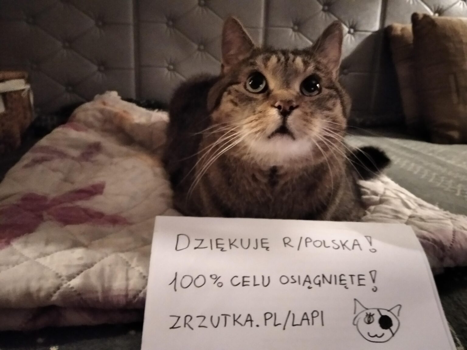 WE HAVE 100%! Lapi will live! Thank you with all our hearts!