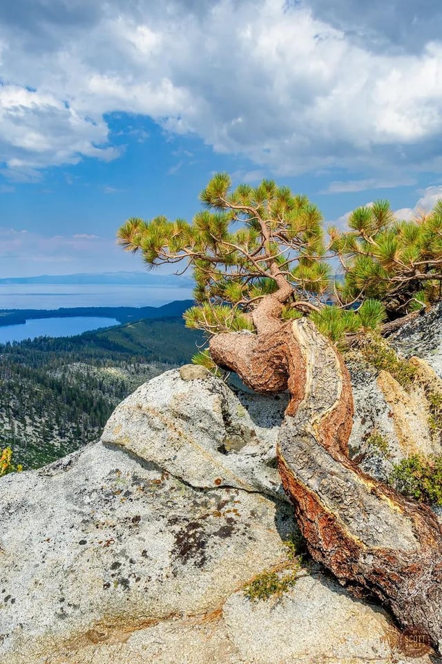 Rocks, Trees and Lake - Echo Peak / Tahoe - California