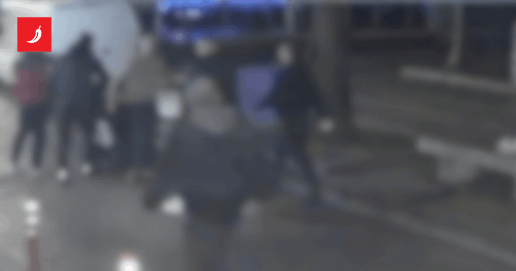 The brothers who brutally beat their boyfriend have been running rampant in Rijeka for years