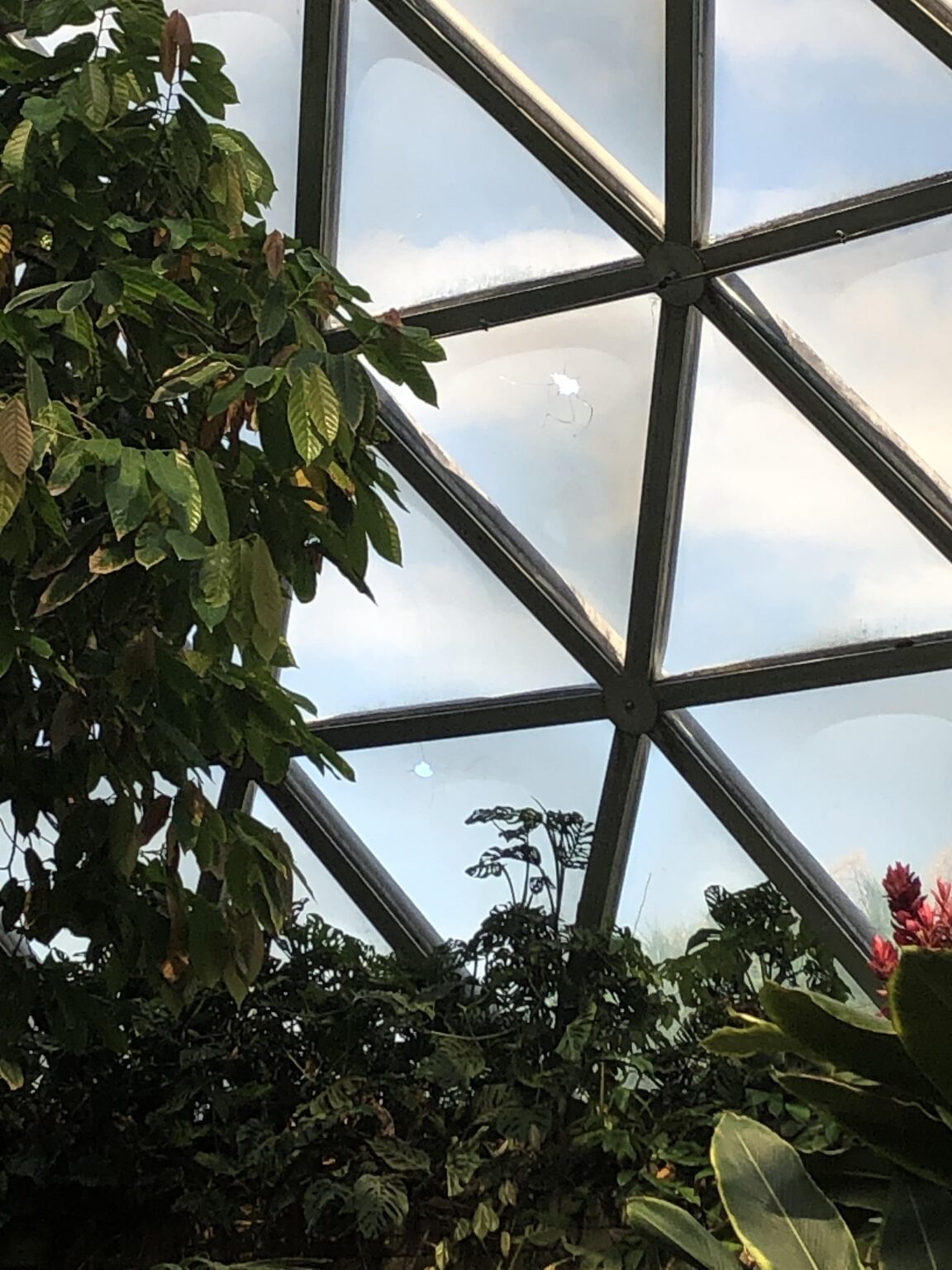 I have found new holes in the Mt Coot-Tha dome.