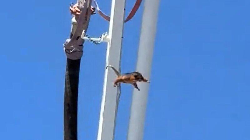 Possum concrete pourer update