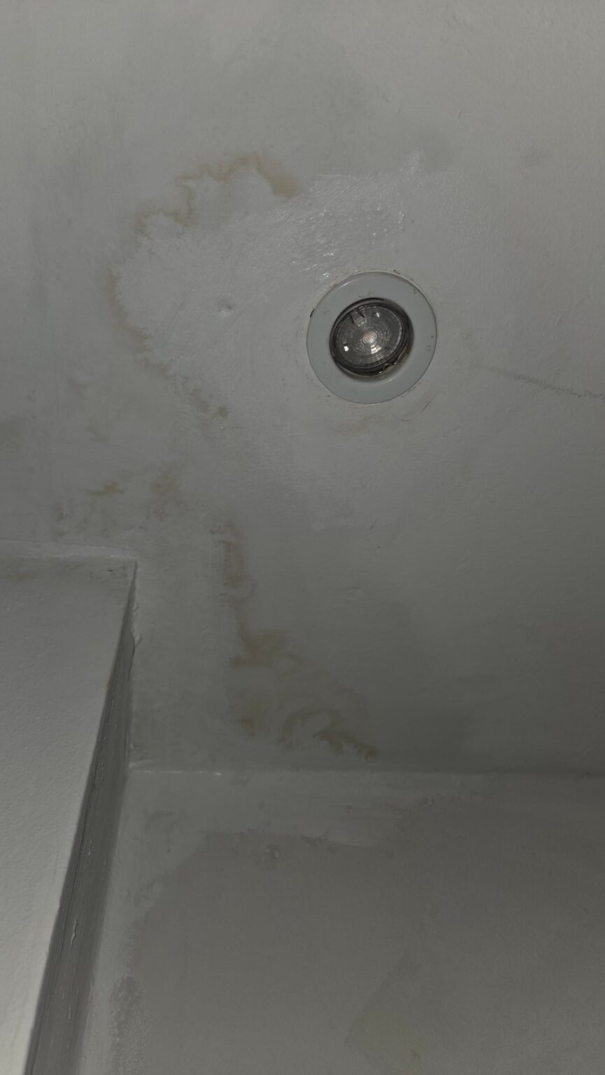 Tups on removing possible mold Tups on removing possible mold