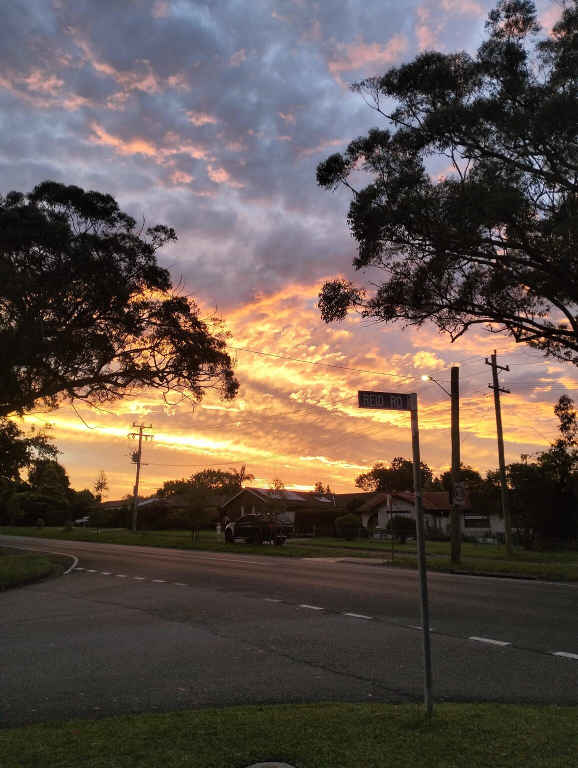 Beautiful sunset tonight.