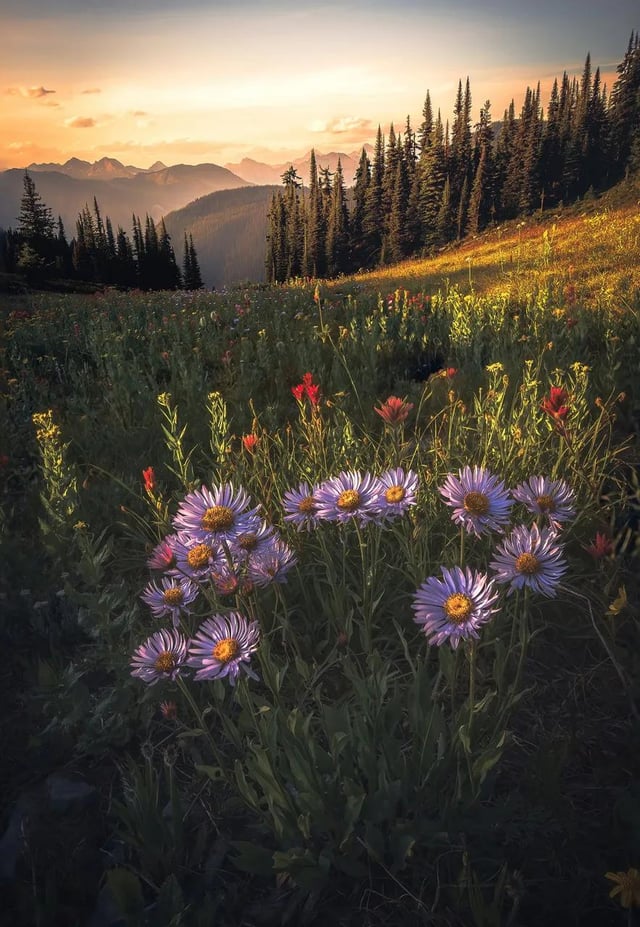 The unique beauty of the remote regions of British Columbia