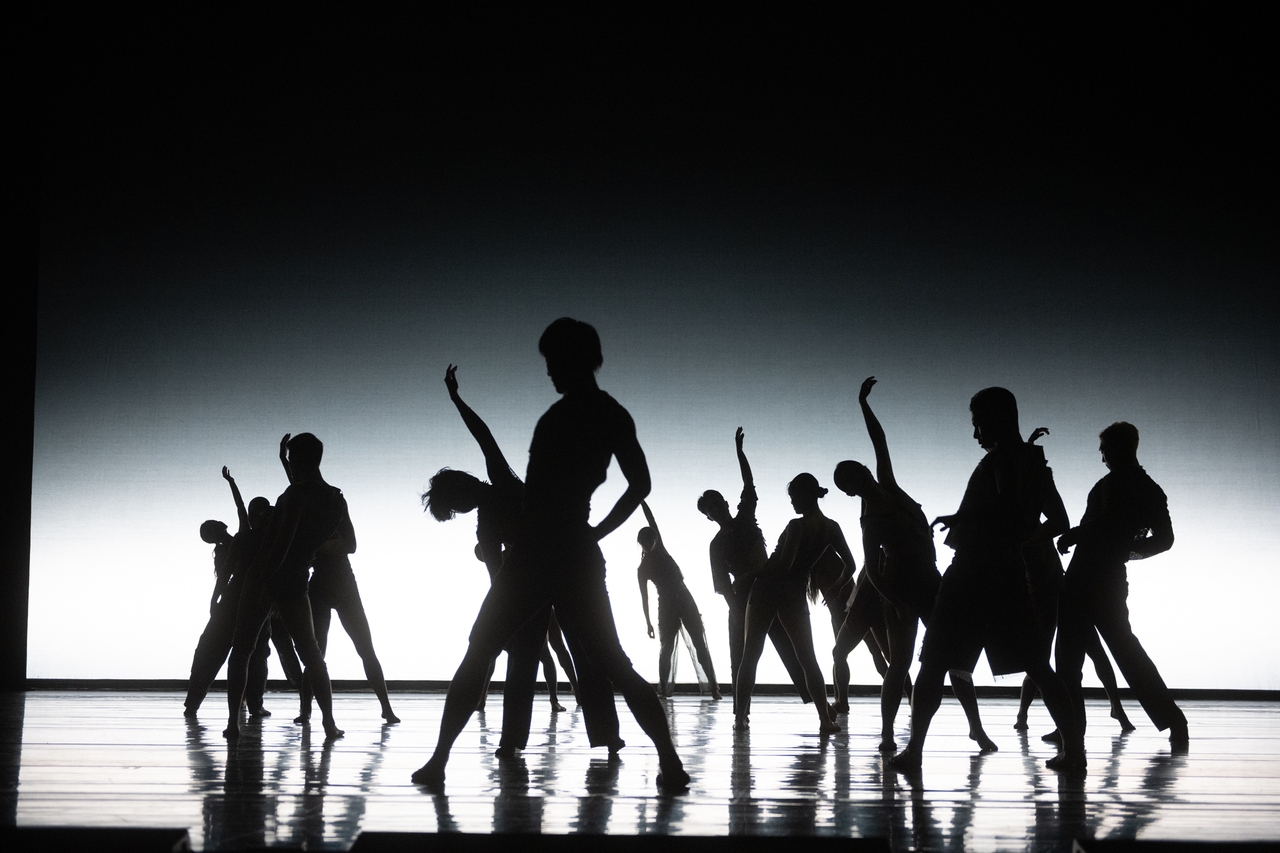 "Jungle" (Korea National Contemporary Dance Company)