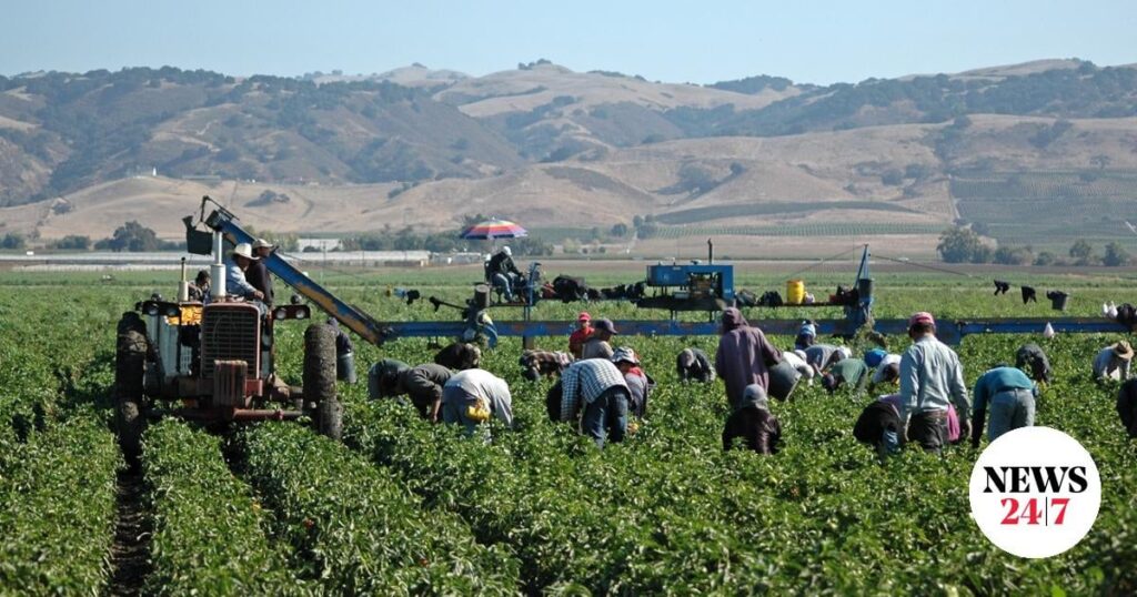 Hoaxes: Shocking case of trafficking and exploitation of migrant workers