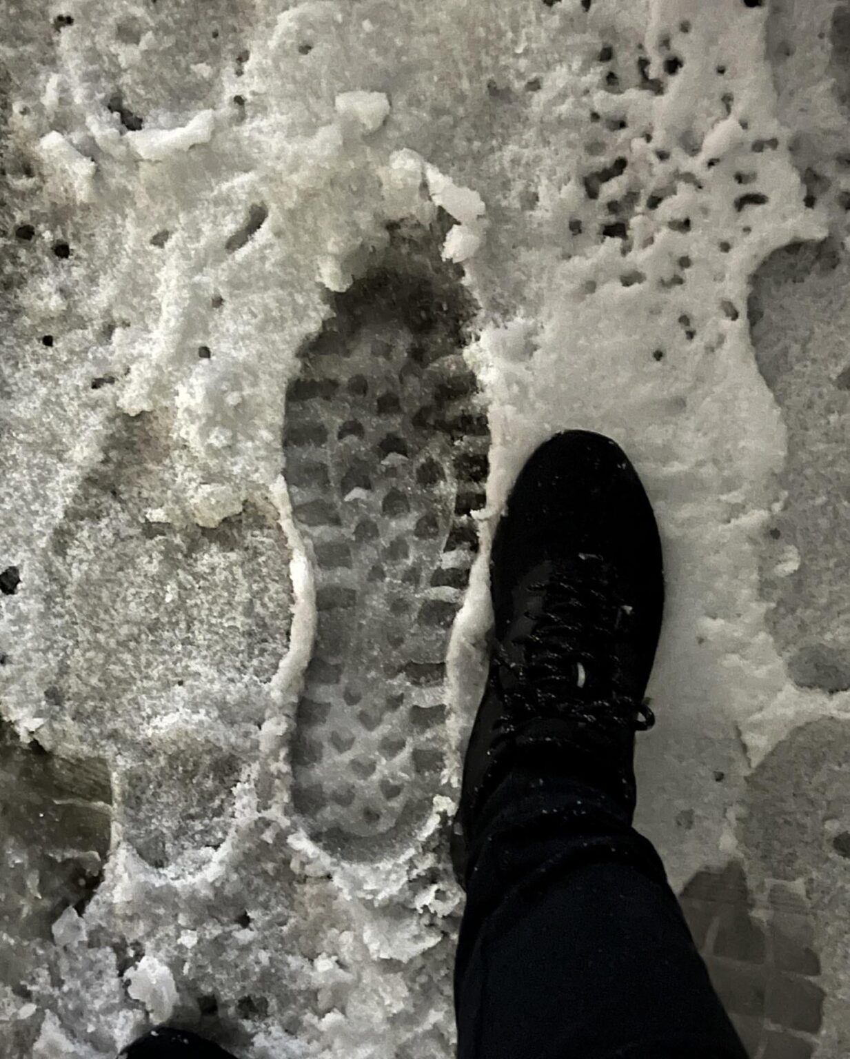 I think I met Bigfoot