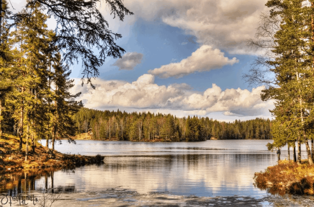 Oslomarka, the forest surrounding Oslo, Norway