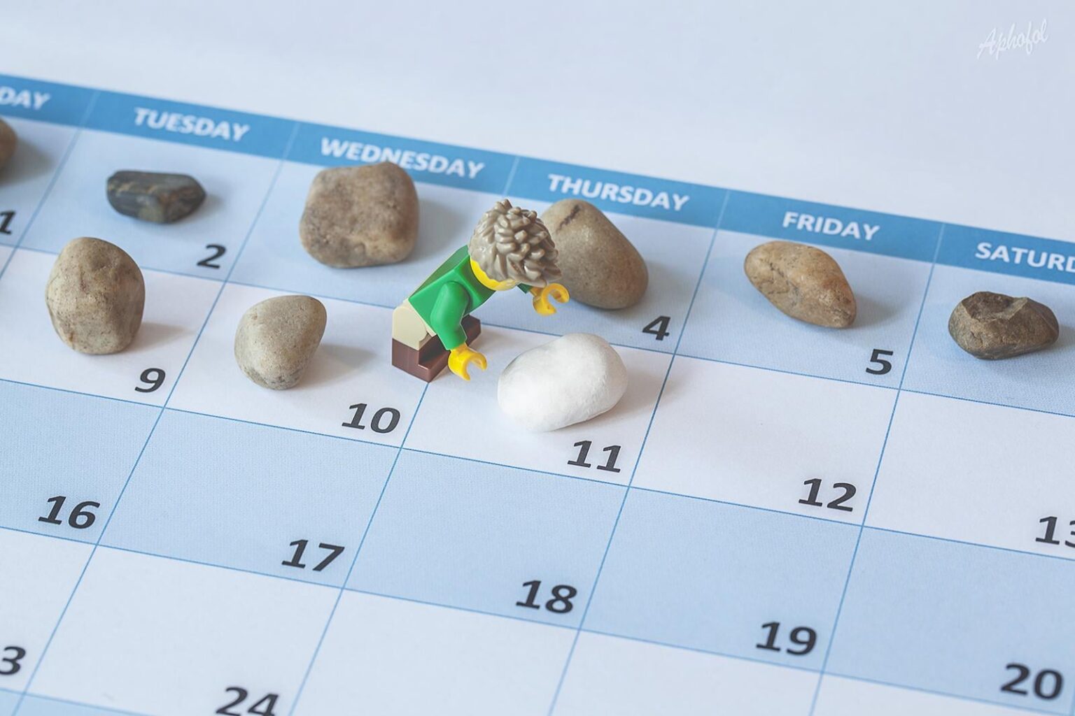 LEG'Spression of the week. What expression is hidden in this photo?