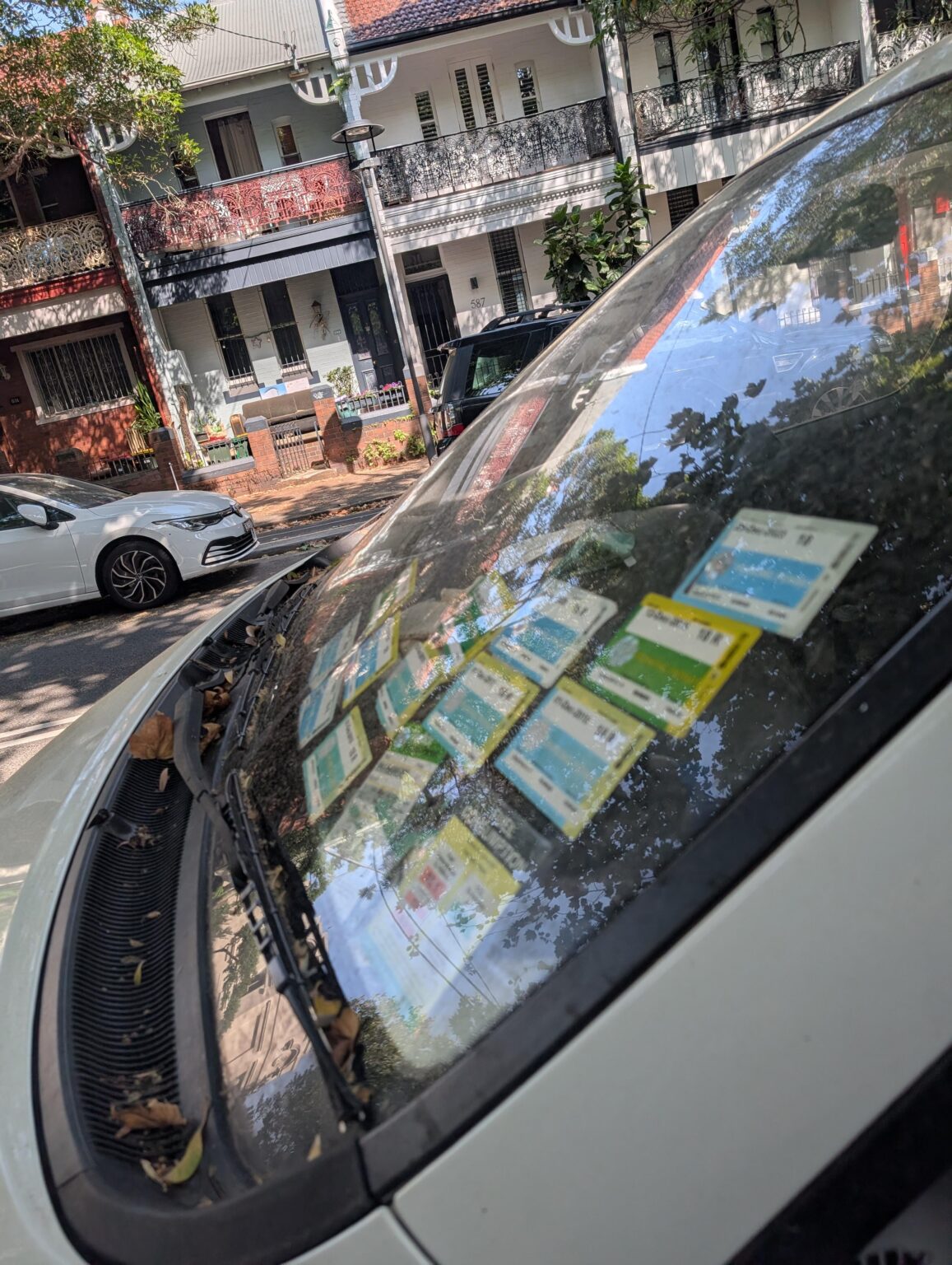 You're definitely a local when your windscreen looks like this