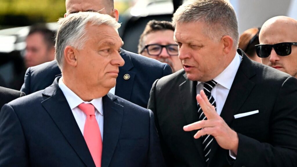 ANALYSIS: First Trump stopped US aid to Ukraine – and now Trump's friends are stopping EU aid to Ukraine | DR