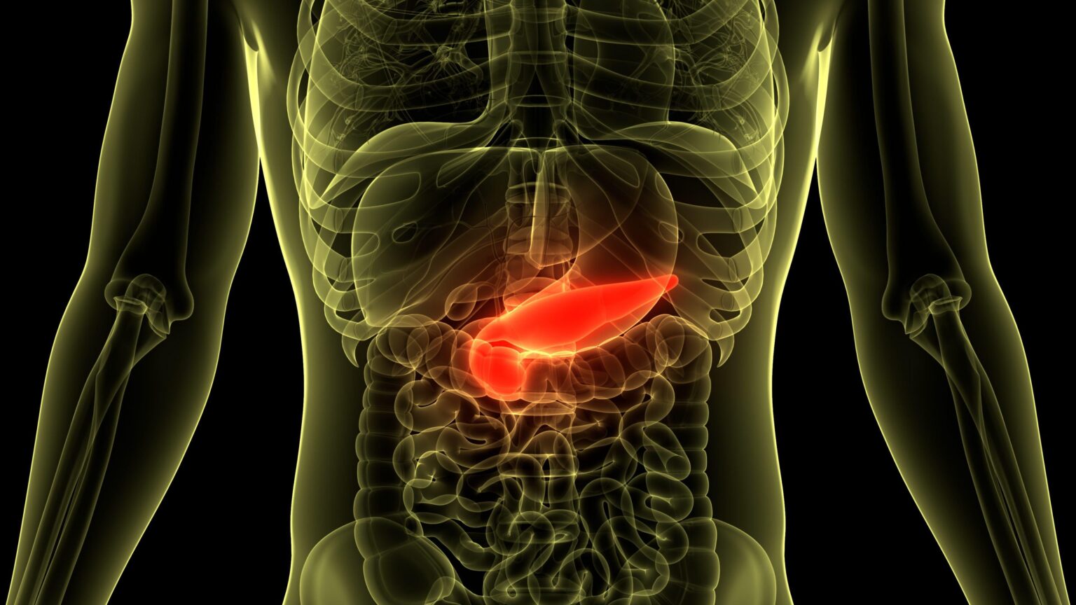 Geopop: Pancreatic cancer defeated in mice in Spain: progress in research, but a cure is far away