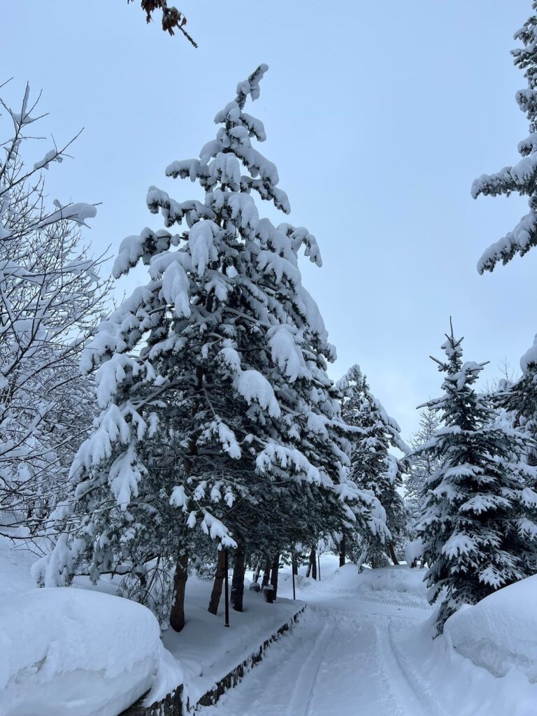 Last winter day in Armenia 🇦🇲 (Aghveran city)