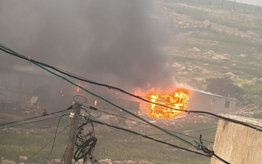 Dozens of sheep burned to death in suspected settler attack near Hebron