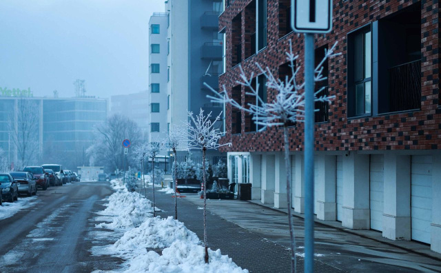 Bulgaria: Bulgaria Freezes: Temperatures Plunge to Minus 14°C Across the Country on Tuesday