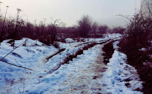 Bulgaria: Winter Weather Tightens Grip on Bulgaria on February 10