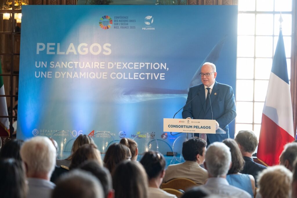 prince albert II pelagos