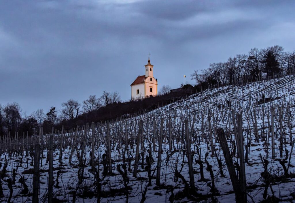 One from Maribor - Pekrska gorca