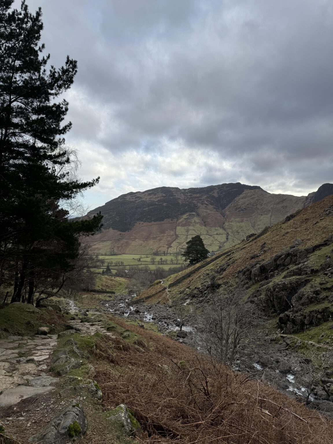 Hiking really clears my mind