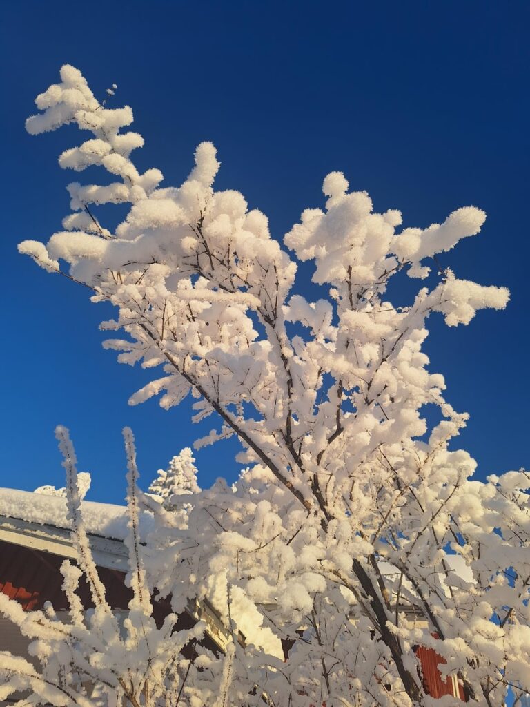 Why to came to Finland for Janu-Febru. Why to came to Finland for Janu-Febru.
