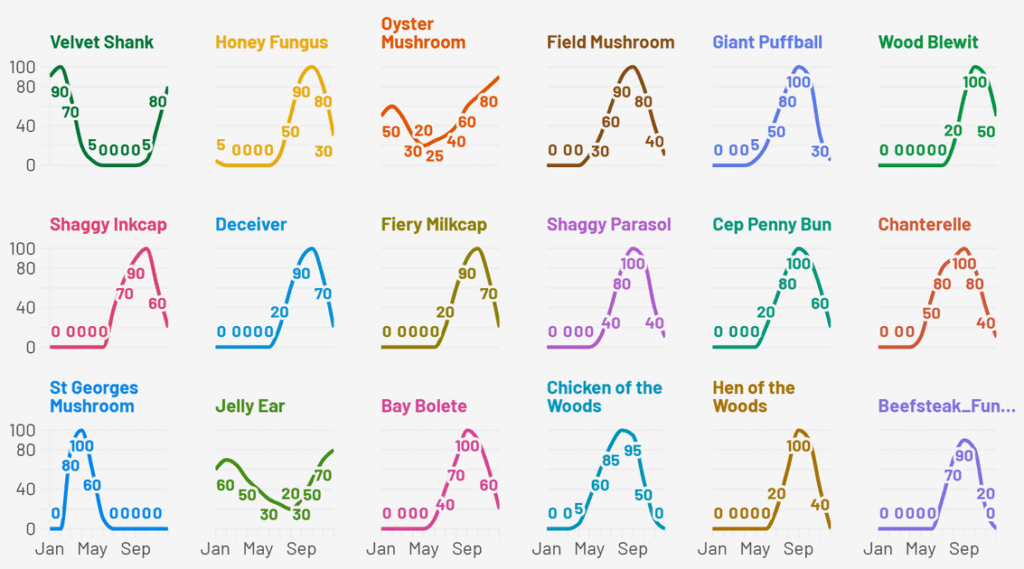 [OC] Seasonality of UK Wild Mushroom Fruiting Peaks (18 Common Species)